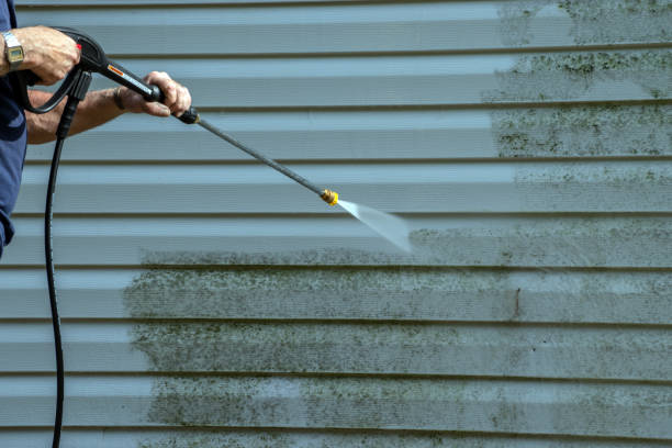 Best Building Exterior Washing  in Old River Winfree, TX